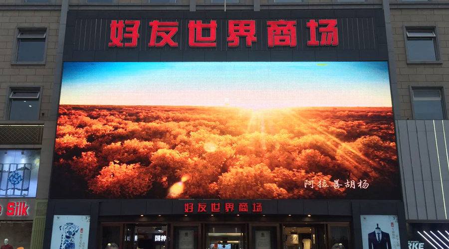 02.jpg
